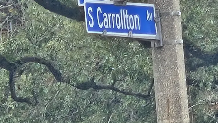 S. Carrollton Avenue street sign in New Orleans