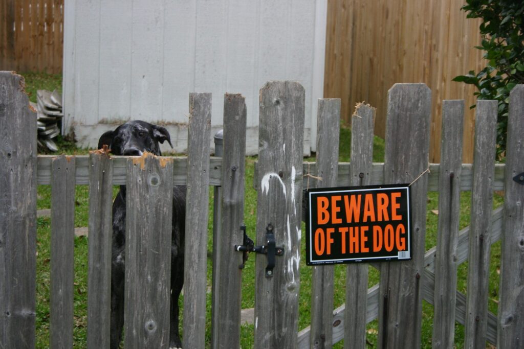 Dog watching through a wooden fence beside a Beware of the Dog sign at a Louisiana home, illustrating a dog bite claim under La. Civ. Code art. 2321
