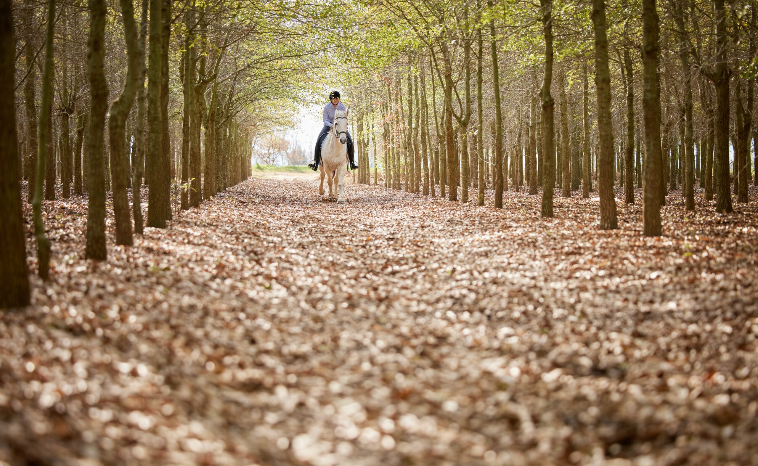Woman riding a horse along a countryside trail